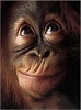 Brugers avatar